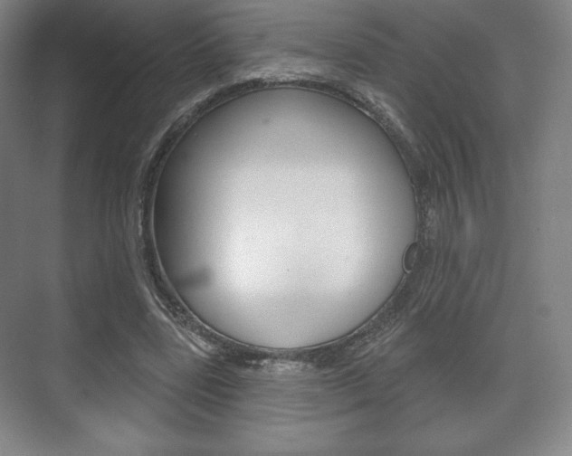 X0000075830539200609150848
