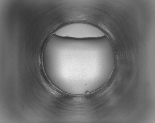X0000075830541200609150848