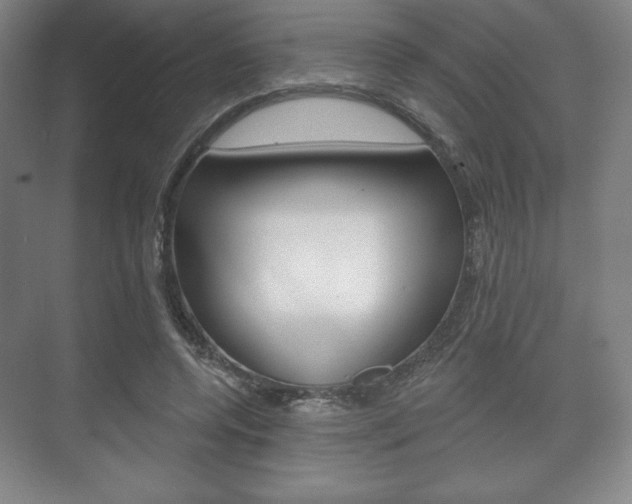 X0000075830544200609150848