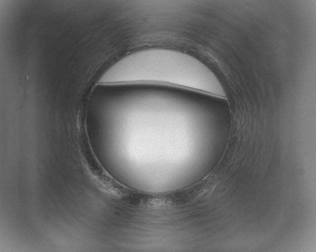 X0000075830546200609150848