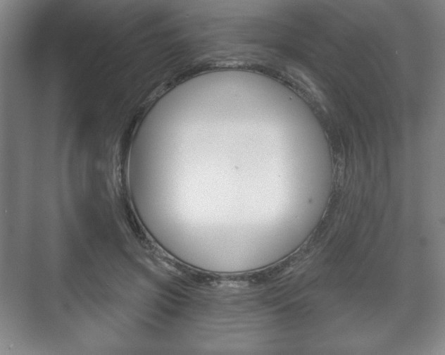 X0000075830549200609150848