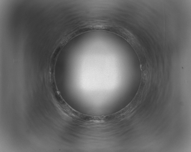 X0000075830552200609150848