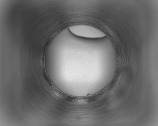 X0000075830553200609150849