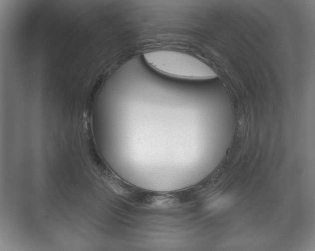 X0000075830555200609150849