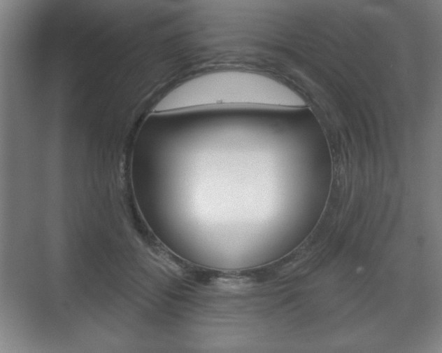 X0000075830556200609150849