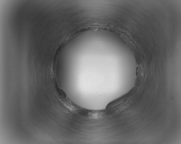 X0000075830564200609150849