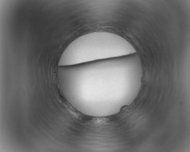 X0000075830569200609150849