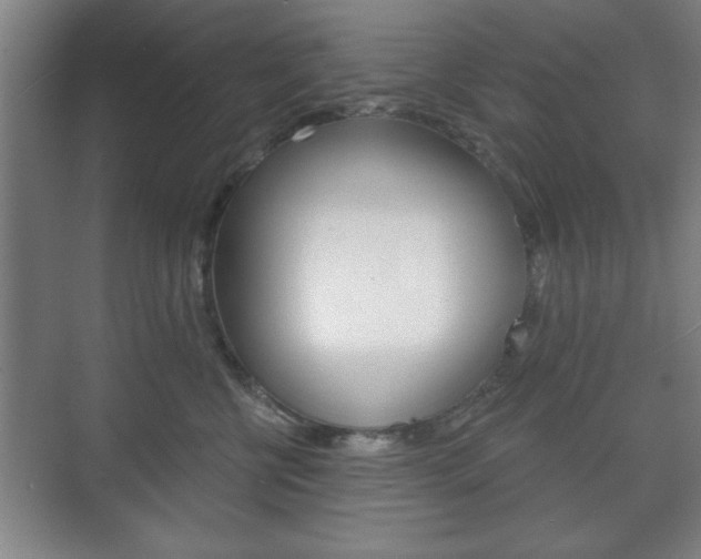 X0000075830570200609150849