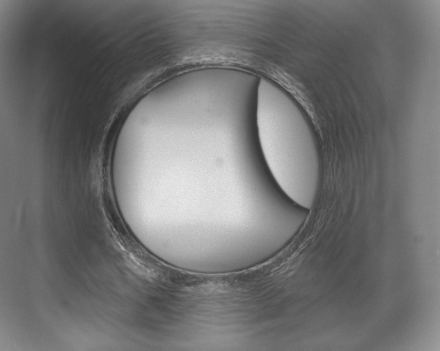 X0000075830578200609150848
