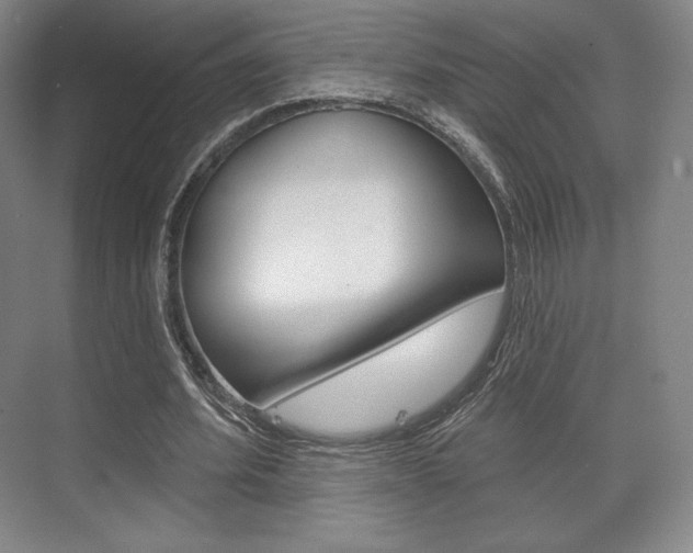 X0000075830580200609150848