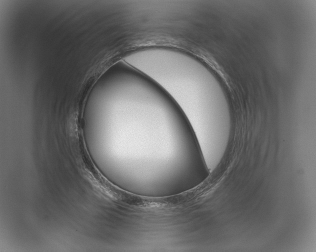X0000075830585200609150848