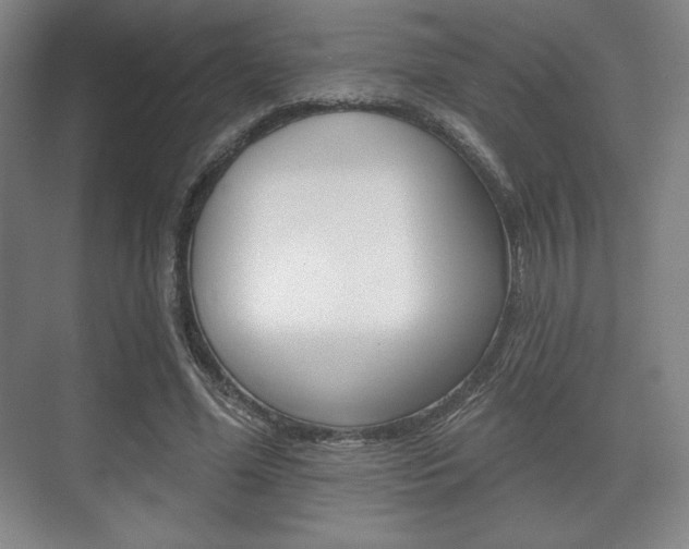 X0000075830588200609150848