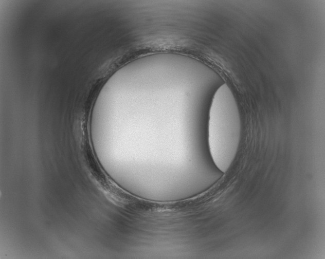 X0000075830590200609150848