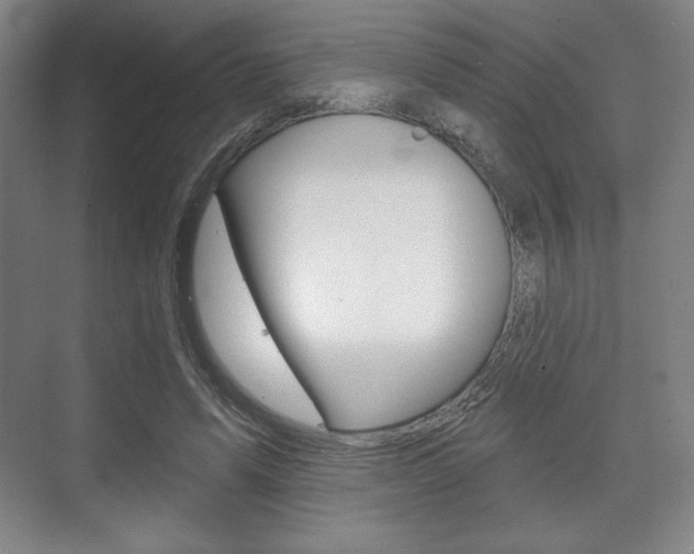 X0000075830591200609150848