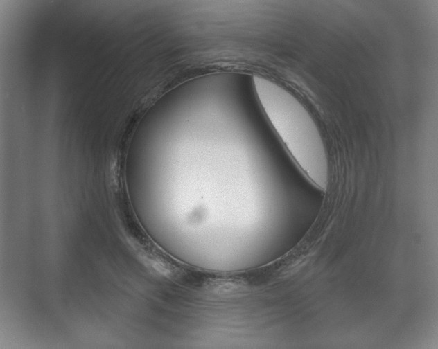 X0000075830597200609150848