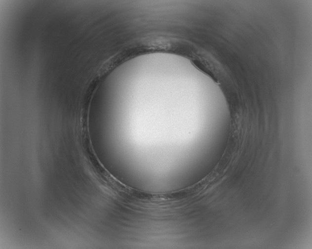 X0000075830600200609150848