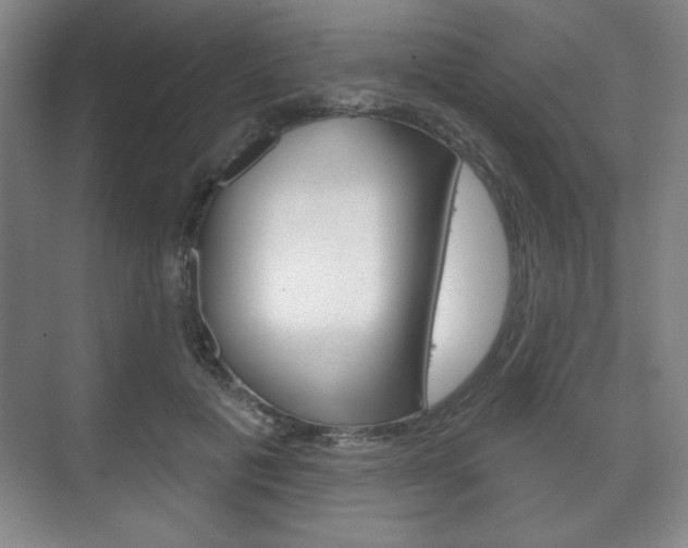 X0000075830601200609150848