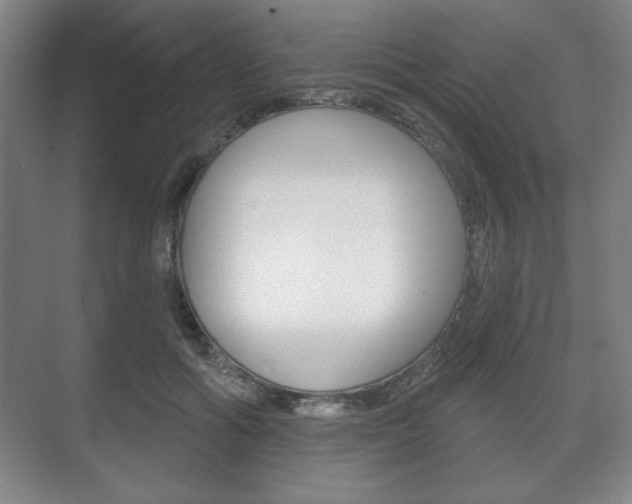 X0000075830602200609150848