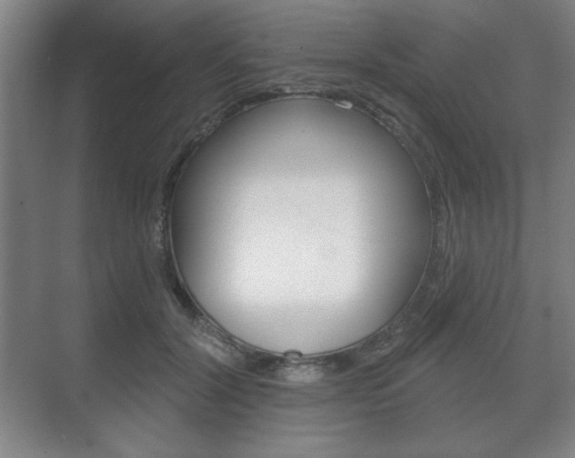 X0000075830604200609150848