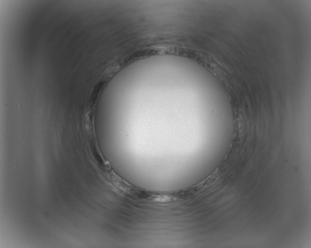 X0000075830611200609150848