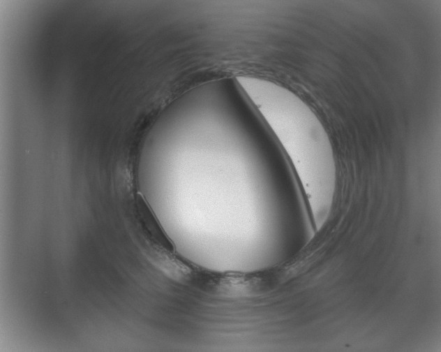 X0000075830613200609150847