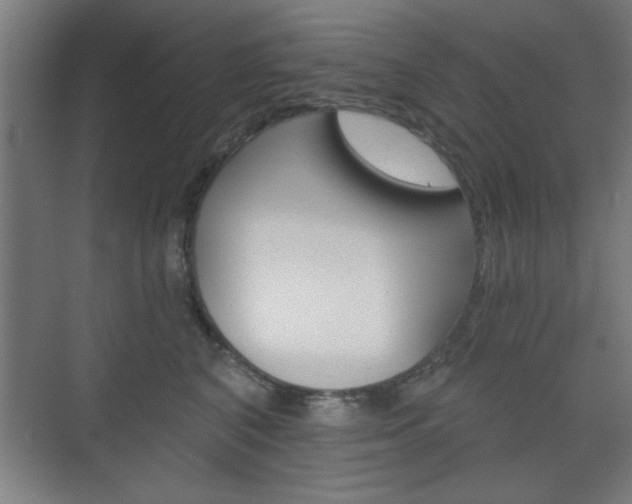 X0000075830616200609150847