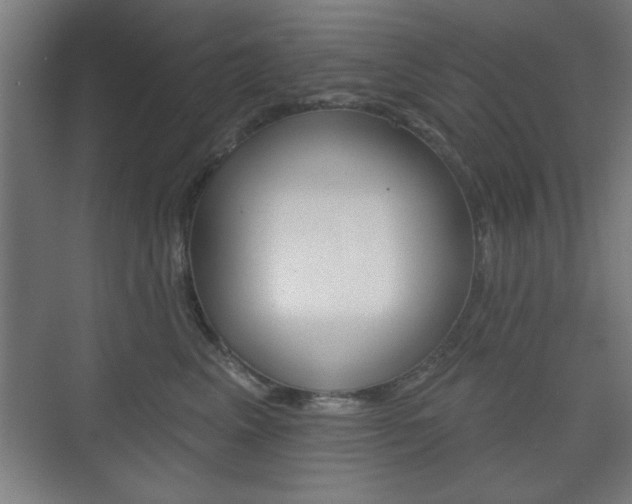 X0000075830617200609150847