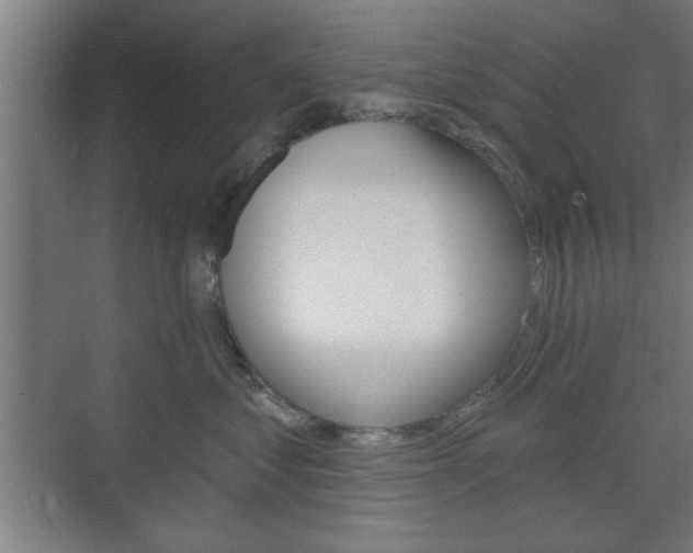 X0000075830621200609150847