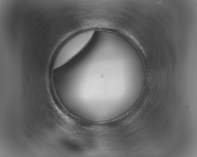 X0000075830629200609150847