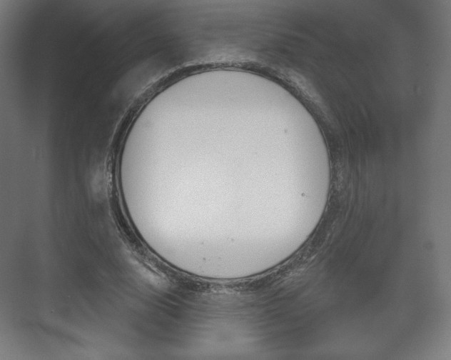 X0000075830632200609150847