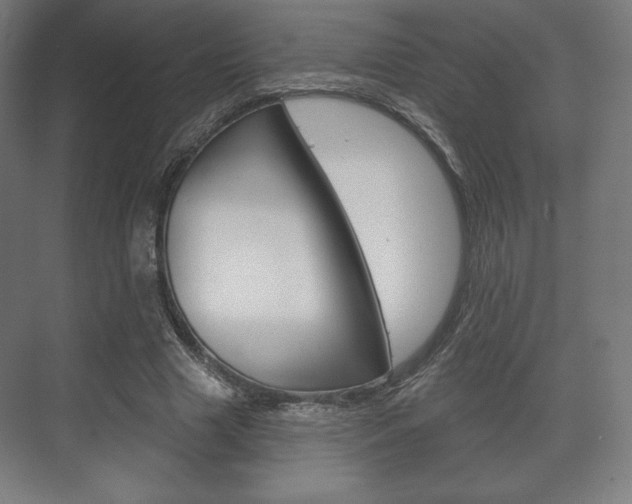X0000075830633200609150847