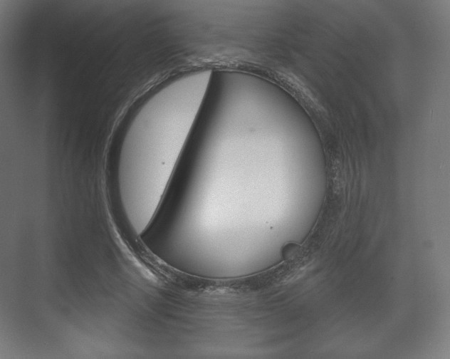 X0000075830634200609150847