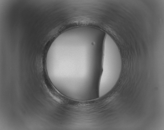 X0000075830638200609150847