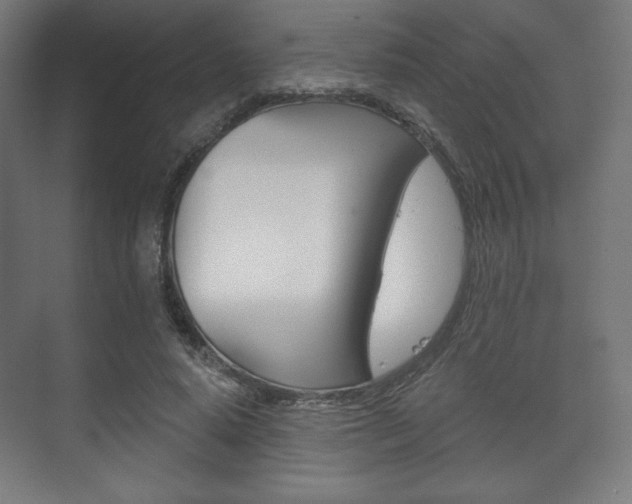 X0000075830640200609150847