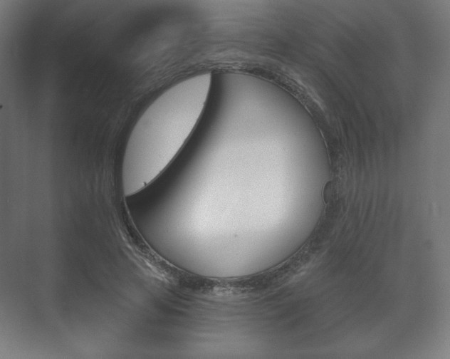 X0000075830641200609150847