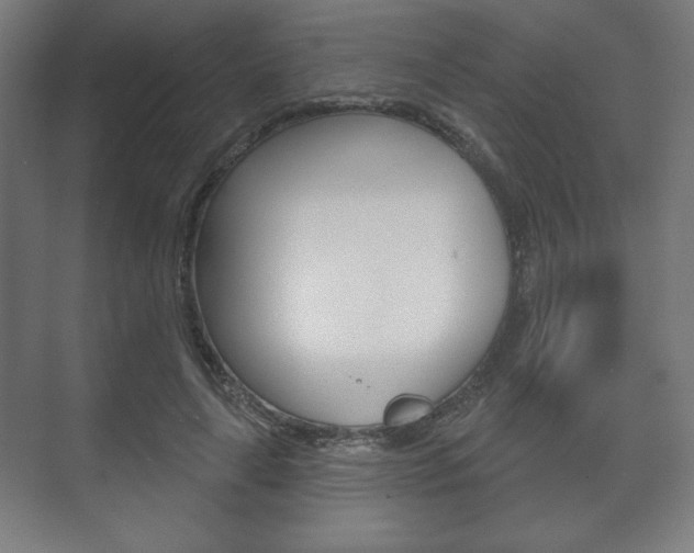X0000075830643200609150847