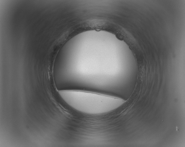 X0000075830644200609150847