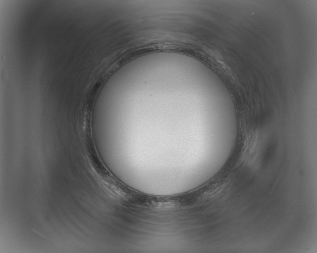 X0000075830645200609150847