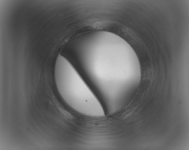 X0000075830646200609150847