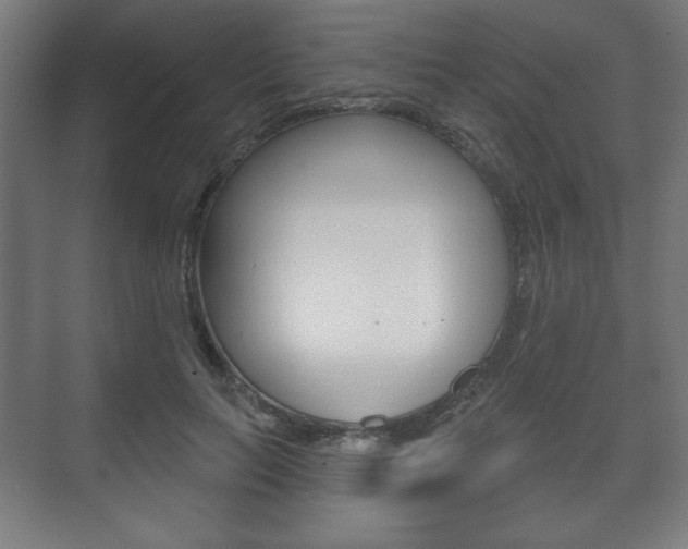 X0000075830647200609150847