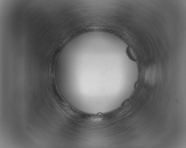 X0000075830651200609150847