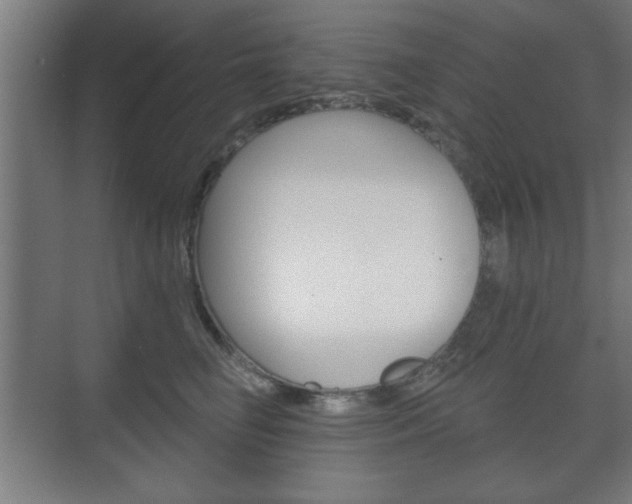 X0000075830662200609150847