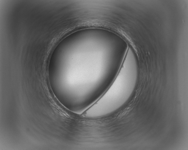 X0000075830673200609150846
