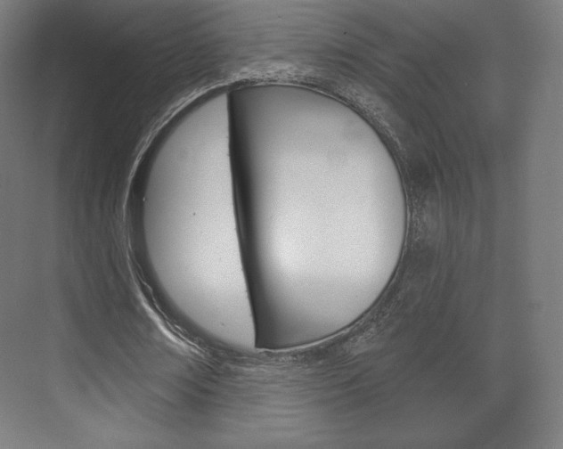 X0000075830674200609150846