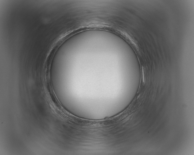 X0000075830675200609150846