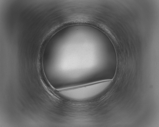 X0000075830677200609150846