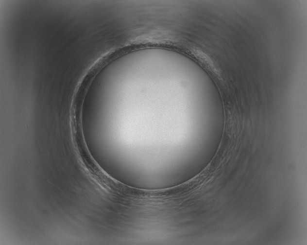 X0000075830680200609150846
