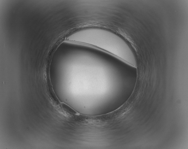 X0000075830681200609150846