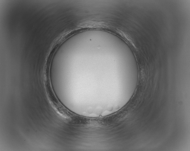 X0000075830682200609150846