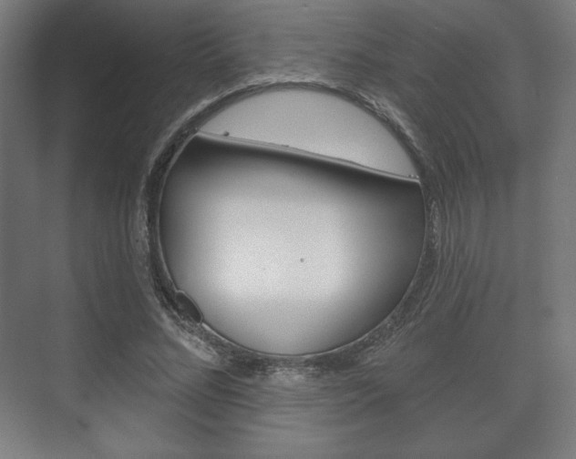 X0000075830684200609150846